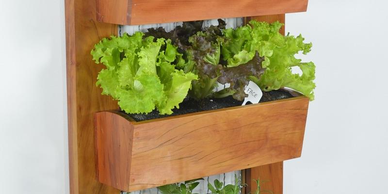 Como um jardim vertical pode fazer parte da decoração