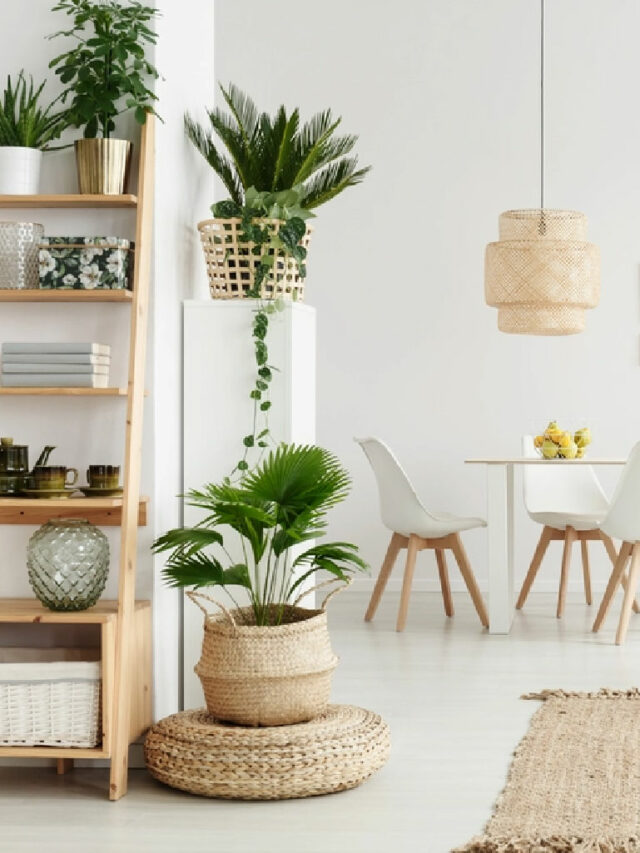 Melhores tipos de flores para decorar sua casa ou seu jardim