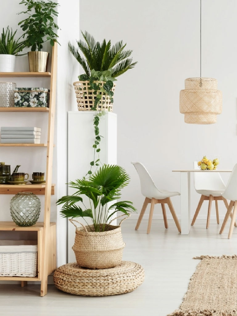Story - decoracao com plantas
