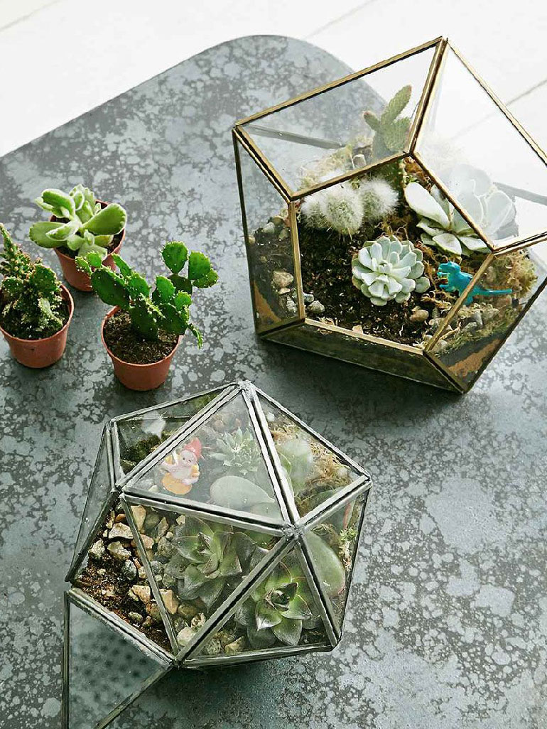 ideias terrario