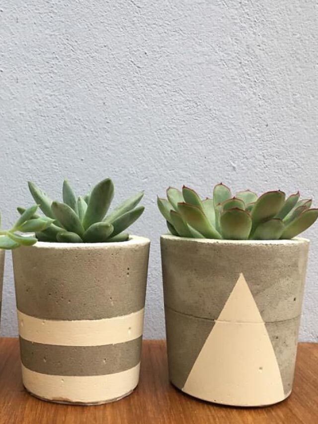 Como Fazer Vaso de Cimento? 3 Modelos incríveis