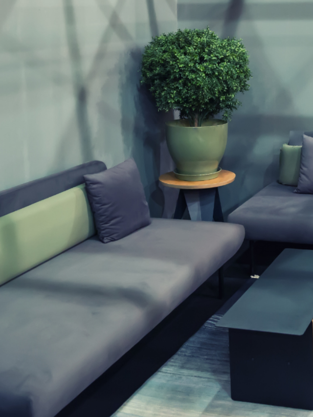 cropped-area-de-lazer-com-sofa-e-planta.png