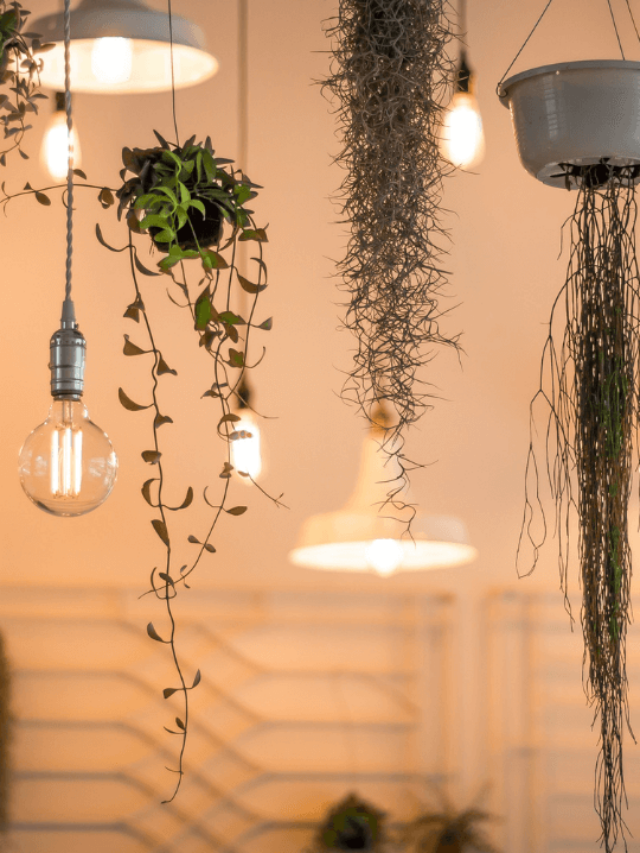 O que é decoração sensorial? Descubra os segredos dessa técnica