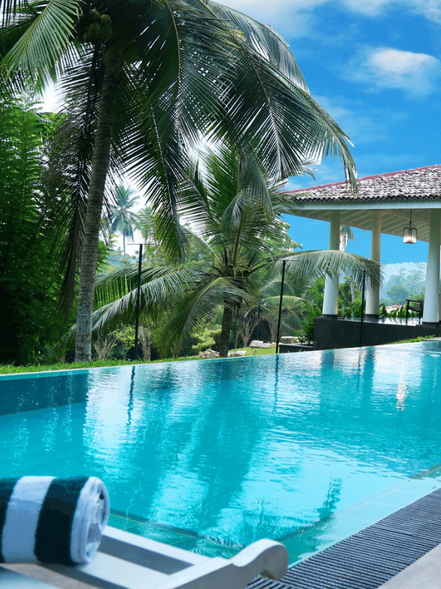 7 plantas para paisagismo ao redor da piscina