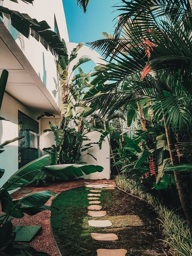 3 tendências de paisagismo para jardins em 2022