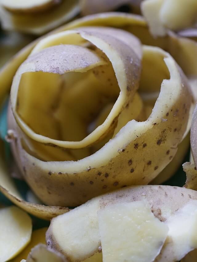 alimentos-casca