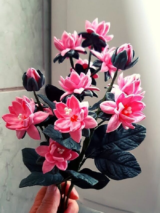 Flor Brinco da Princesa: Dicas para cultivo desta linda plantinha