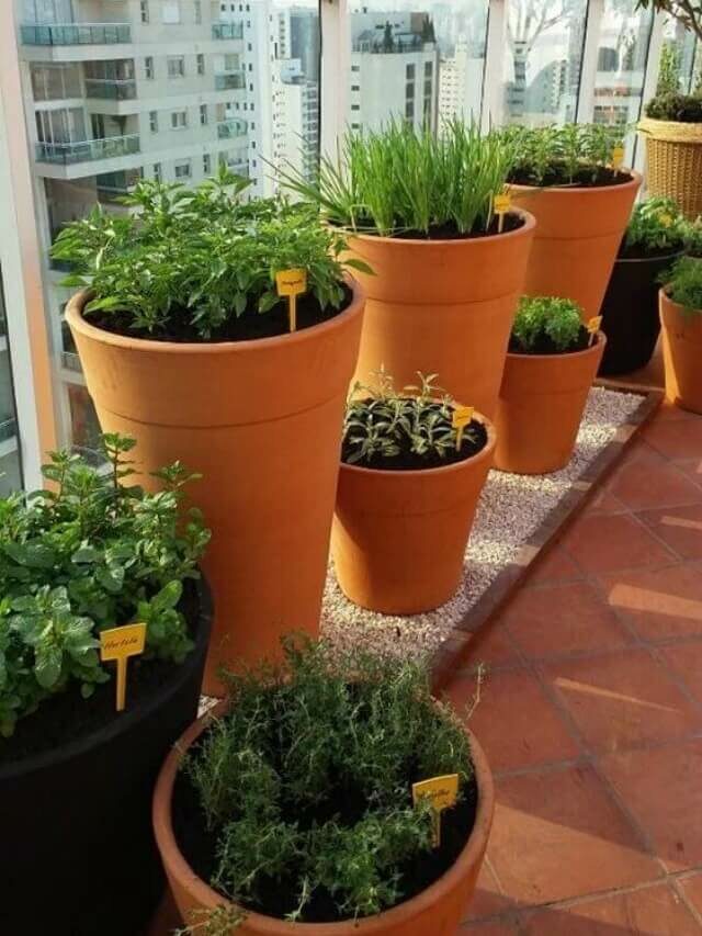 Horta em vasos: 5 dicas e ideias para montar a sua