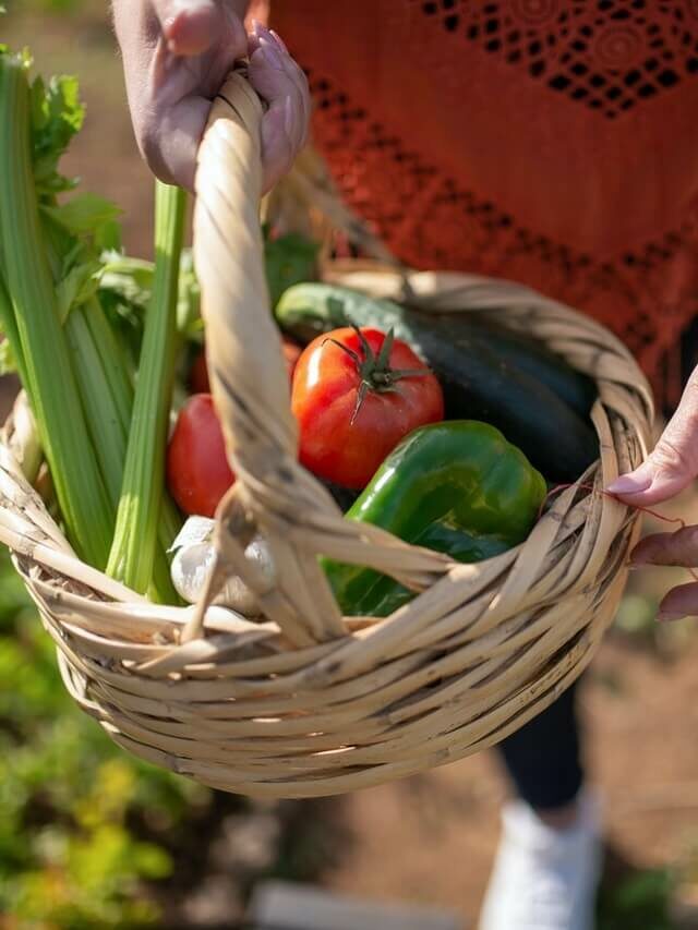 O que plantar na horta em maio? 7 ideias para cultivo