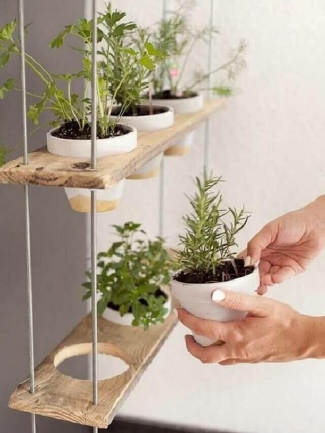 Horta Suspensa: 5 maneiras de fazer a sua (casa e apartamento)