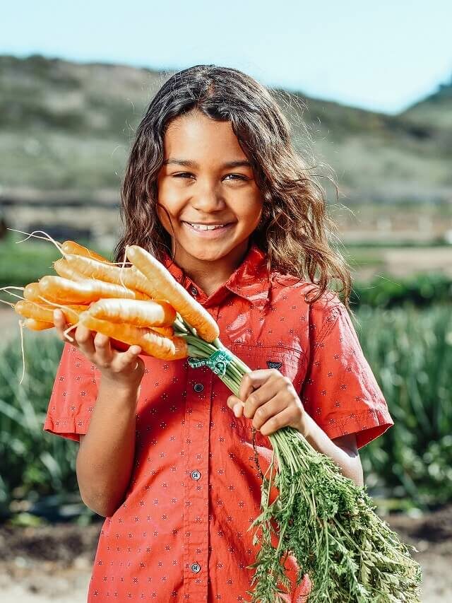 7 hortaliças que produzem o ano inteiro para plantar