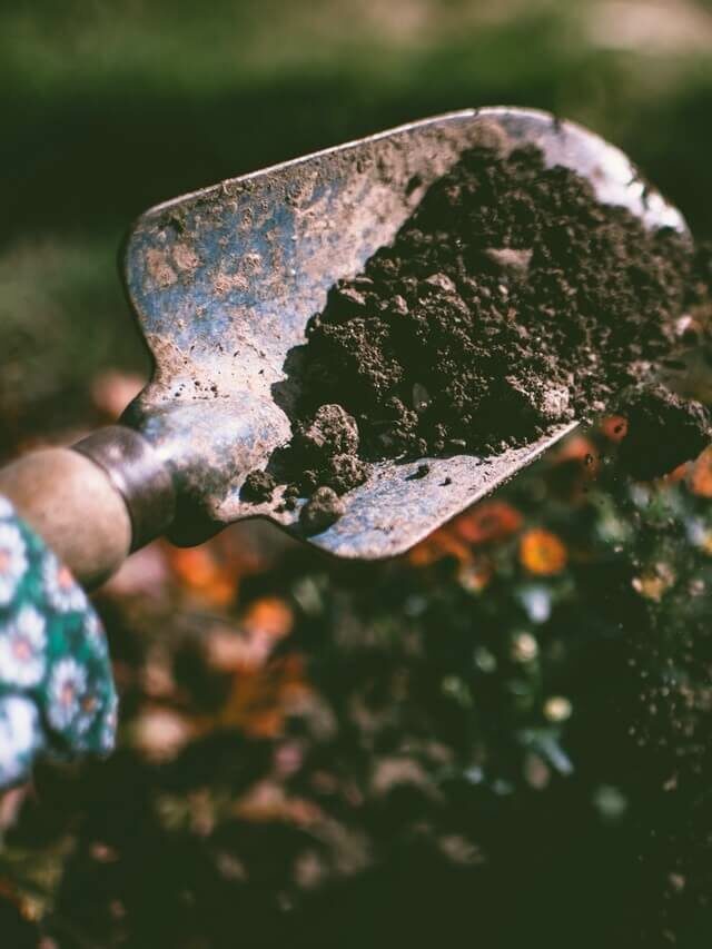 Adubo para horta: conheça os tipos e como aplicar corretamente