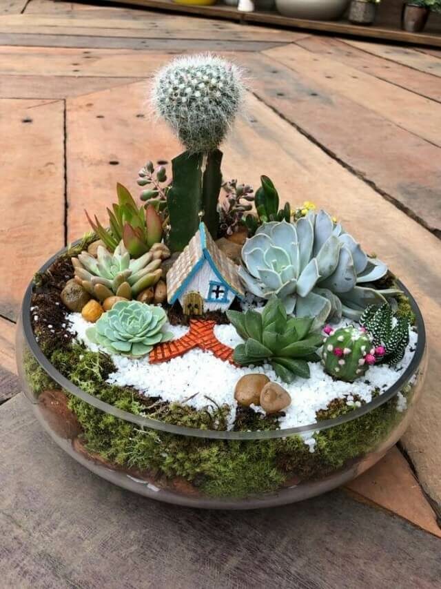 Confira ideias de decoração e fotos de terrários para suculentas