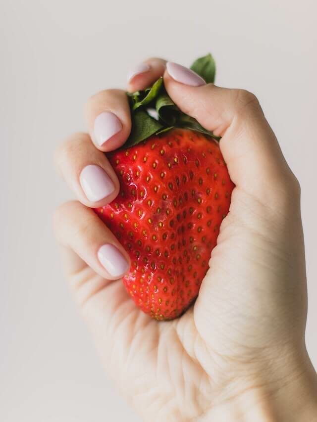 Como cultivar morango em vaso? Aprenda passo a passo