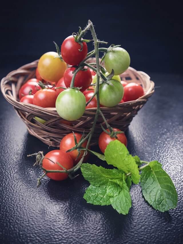 1-cultivo-tomates