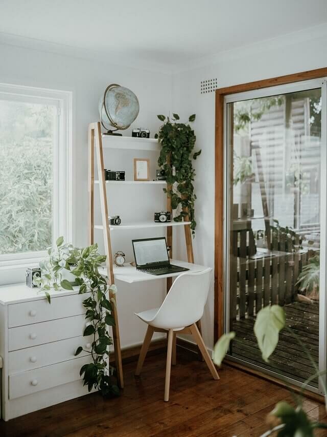 Veja 7 plantas que melhoram a sua concentração e diminuem o estresse