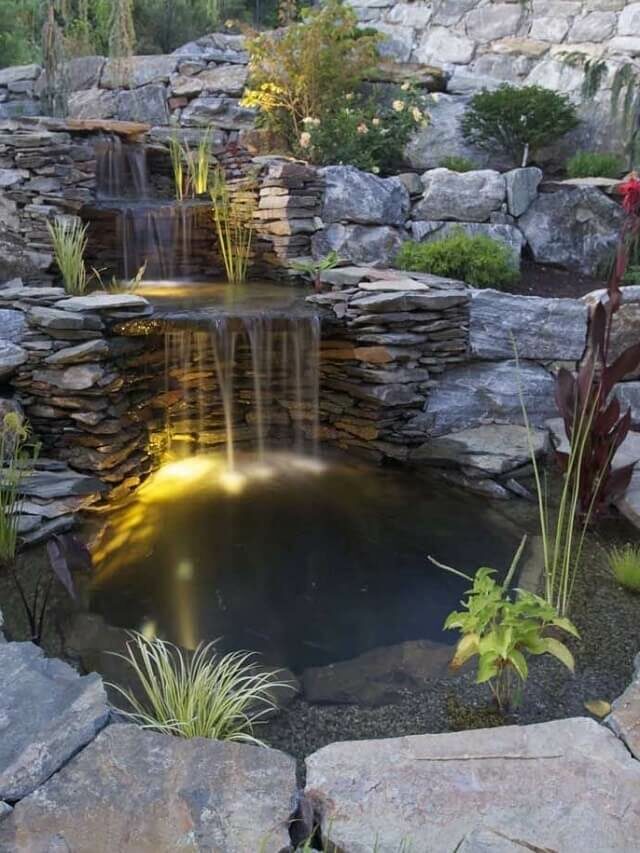 Ideias de lagos para o seu jardim – veja fotos e inspirações