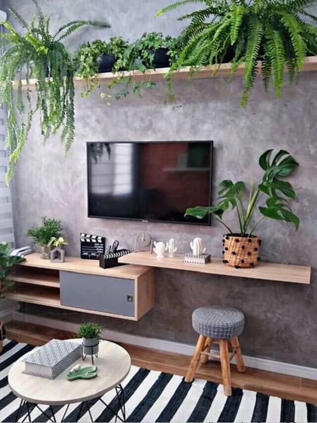 7 espécies de plantas para decorar a sua sala de TV: Confira