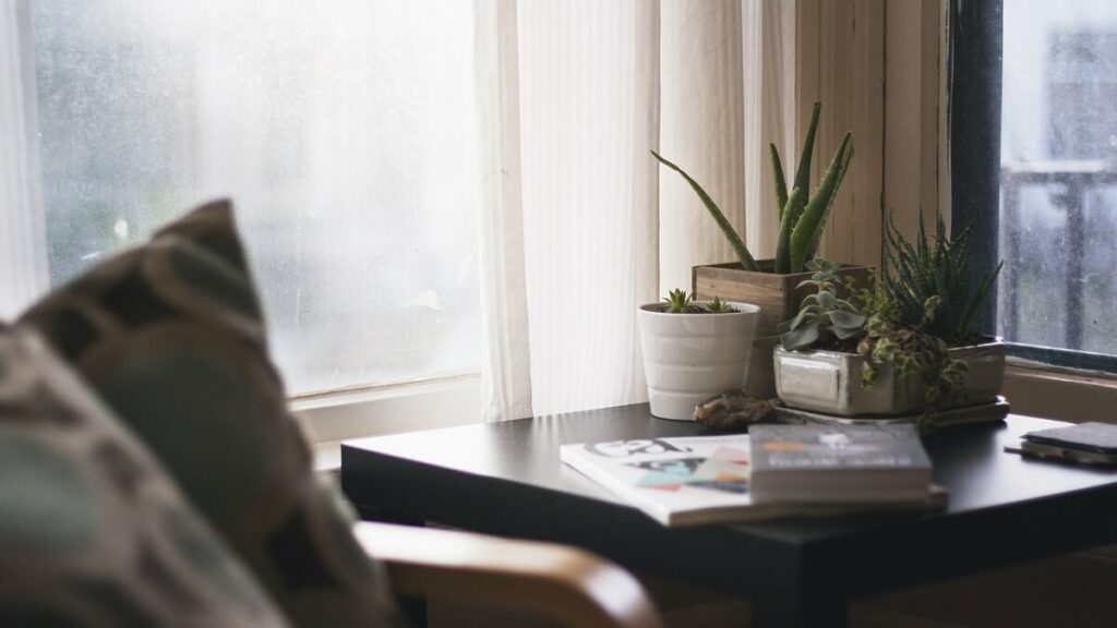 Suculentas e cactos em vasos, no canto de uma mesa de madeira com janelas em volta