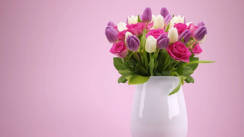 Tulipas em um vaso branco com fundo rosa