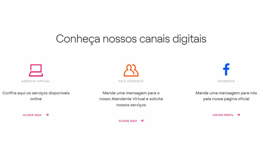 Print do Fale Conosco da Enel