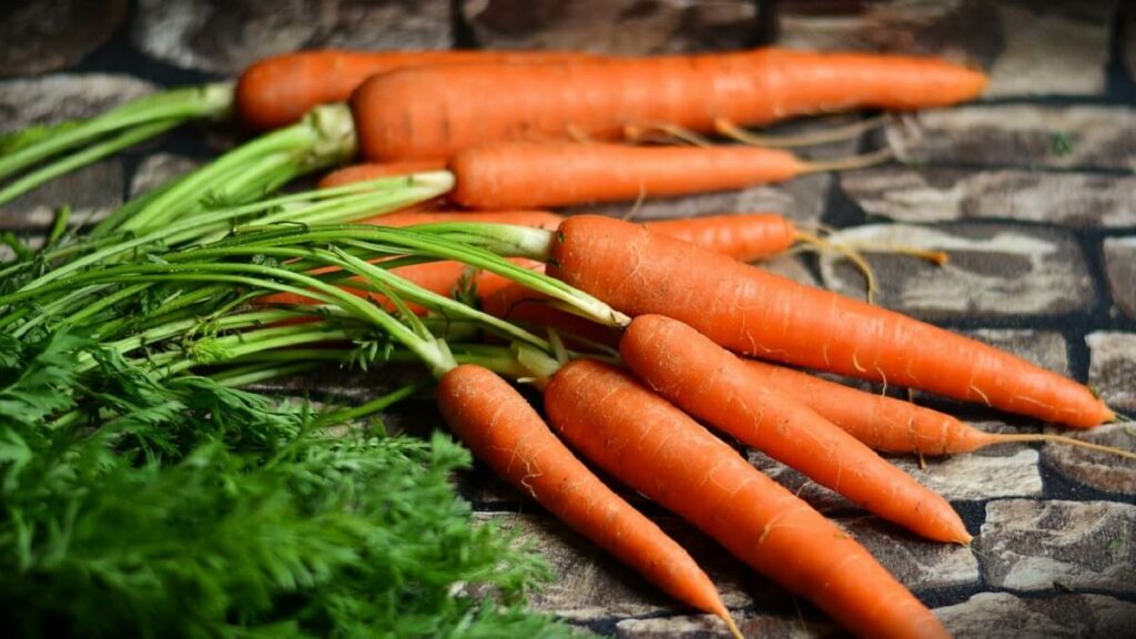 Como plantar cenoura: Veja o passo a passo e cultive cenouras orgânicas! 5 Cenouras já lavadas e limpas