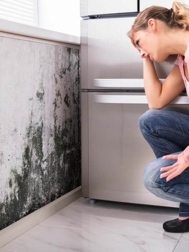 Veja 3 dicas de como tirar cheiro de mofo da sua casa!