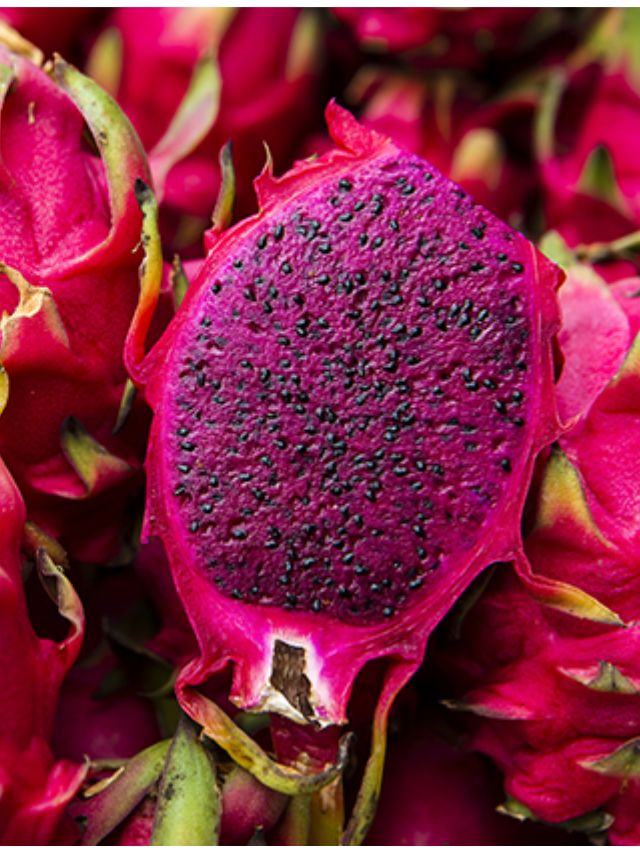 Story - capa plantar pitaya