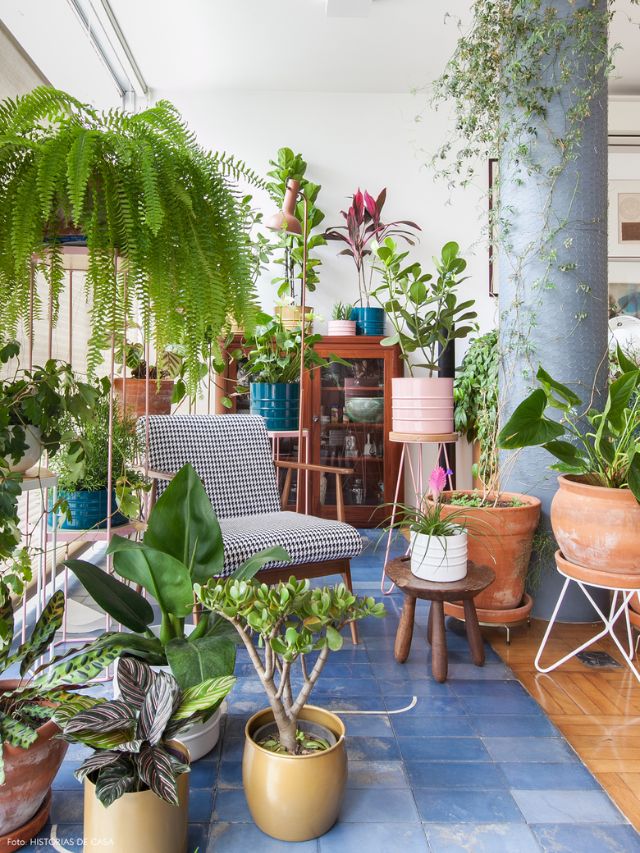 Plantas dentro de casa