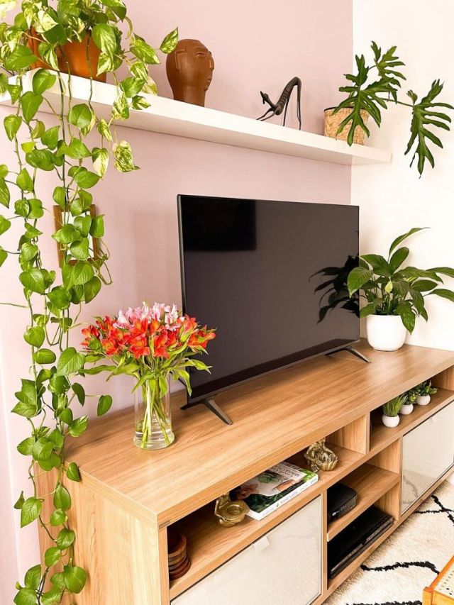 Plantas na sala