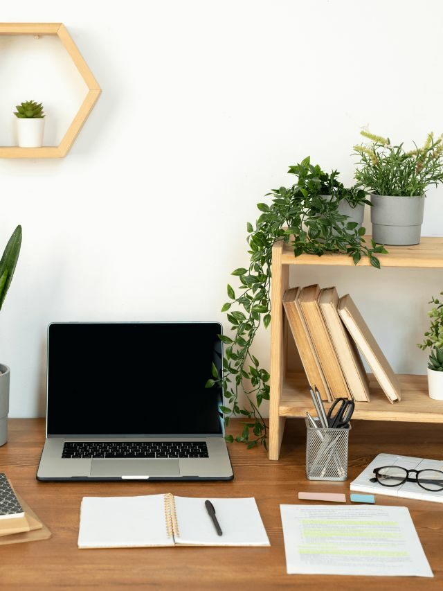 Plantas para escritório: melhores tipos para usar na decoração