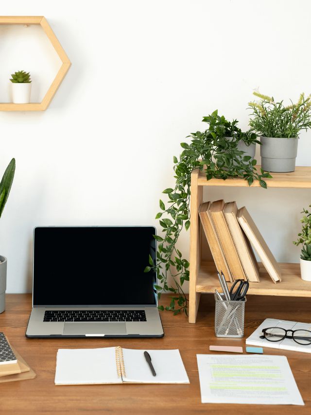 Plantas para escritório