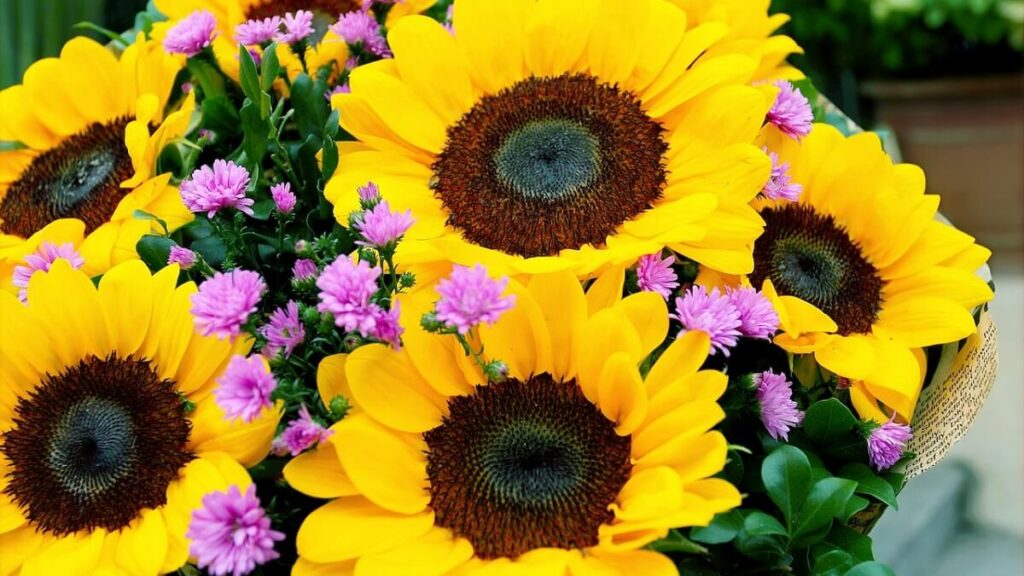 Buque de girassol e outras flores