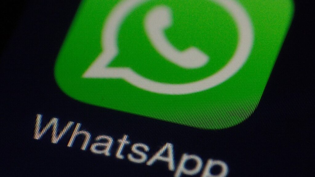 O que significa pdp no WhatsApp