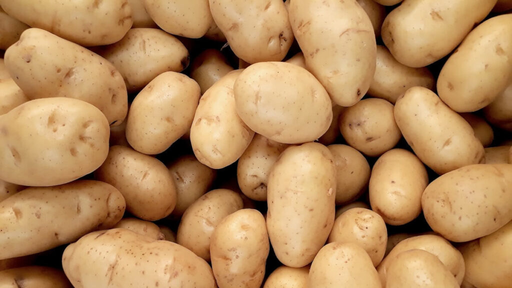 Como Plantar Batata: Passo a Passo Completo com Dicas Extras! 4 Diversas batatas
