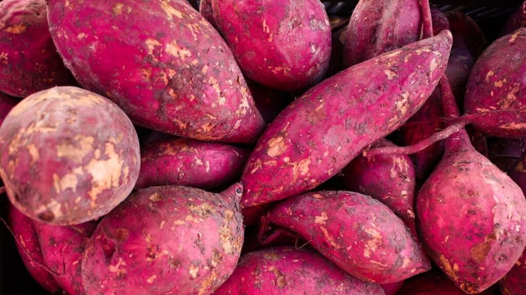 Batata Doce lavada