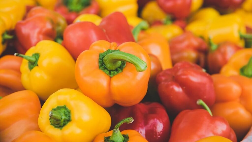 Como Plantar Pimentão: 7 Passos Fundamentais 3 Pimentões de diversas cores e variedades