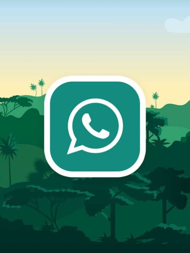 Quais as vantagens do WhatsApp Pro? Entenda e veja como funciona