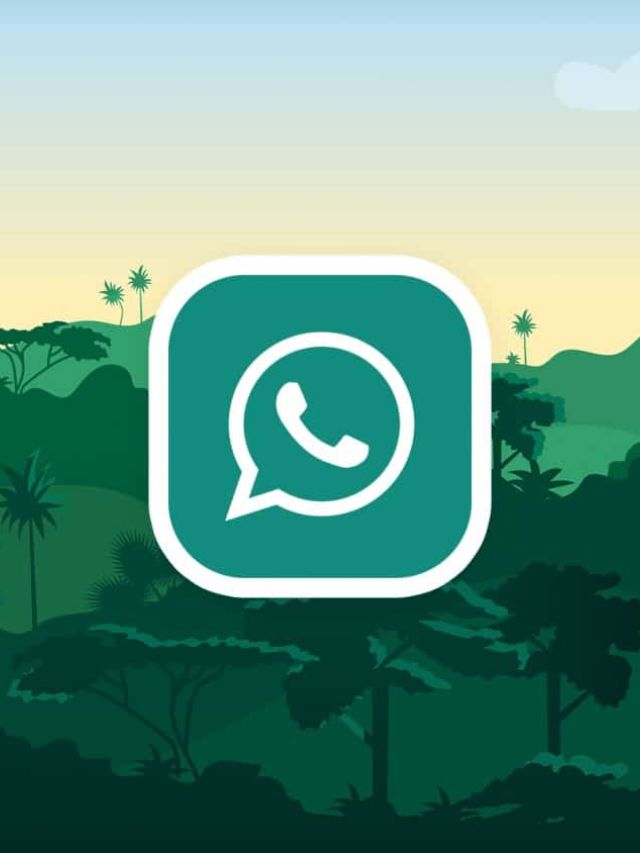 Quais as vantagens do WhatsApp Pro?