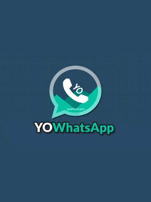 Yo WhatsApp