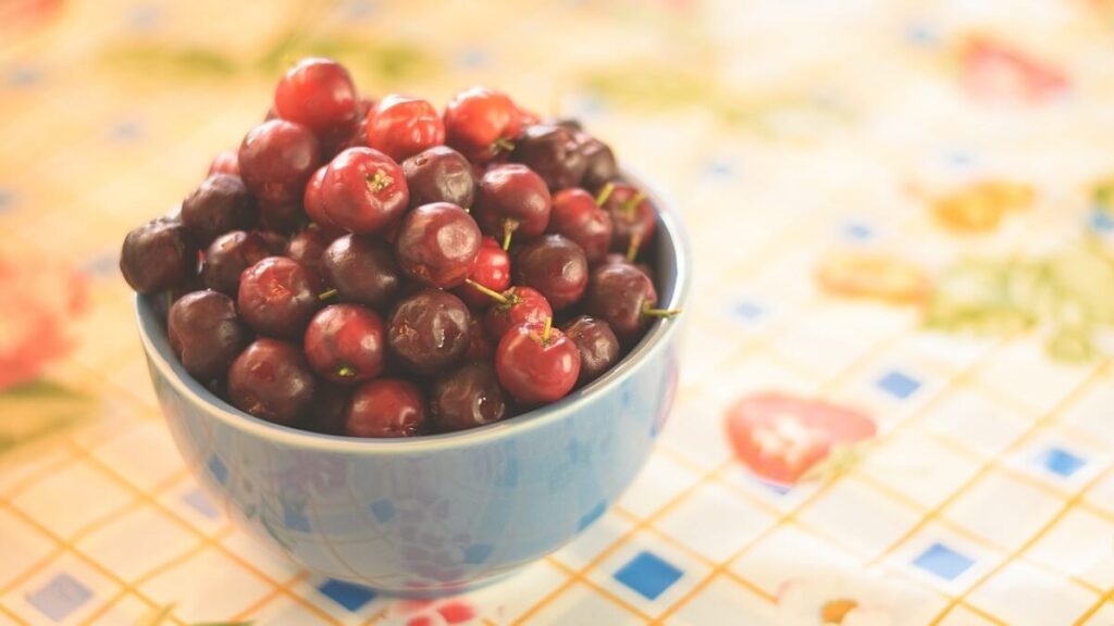 Veja como plantar acerola no quintal de casa de um jeito simples! 3 Acerola no pote
