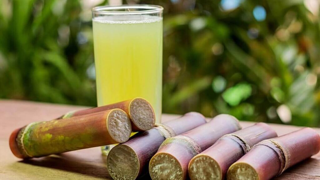 Como plantar cana: Confira algumas dicas interessantes para cultivar! 2 Caldo de cana e cana cortada