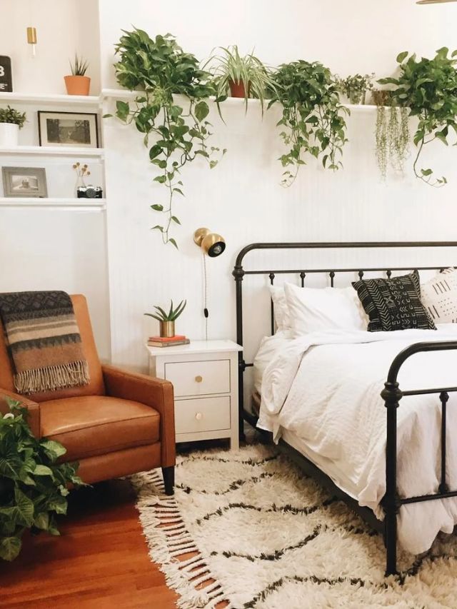 Plantas no Quarto podem te ajudar a dormir melhor