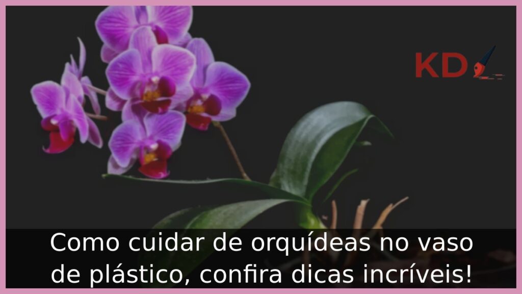 Como cuidar de orquídeas no vaso de plástico