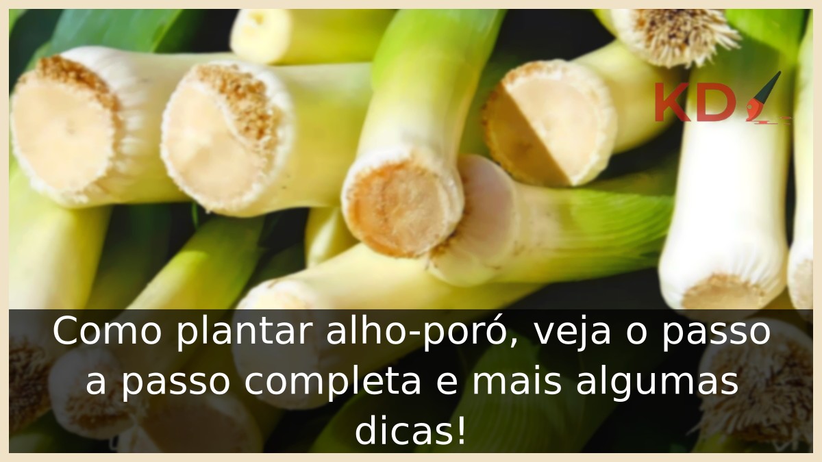 Como plantar alho-poró
