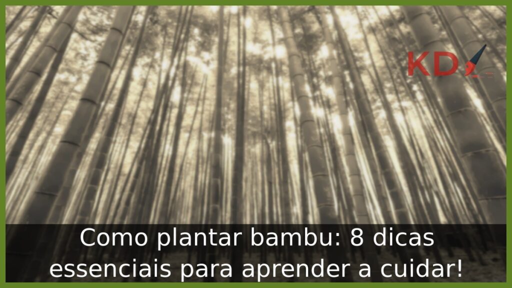 Como plantar bambu