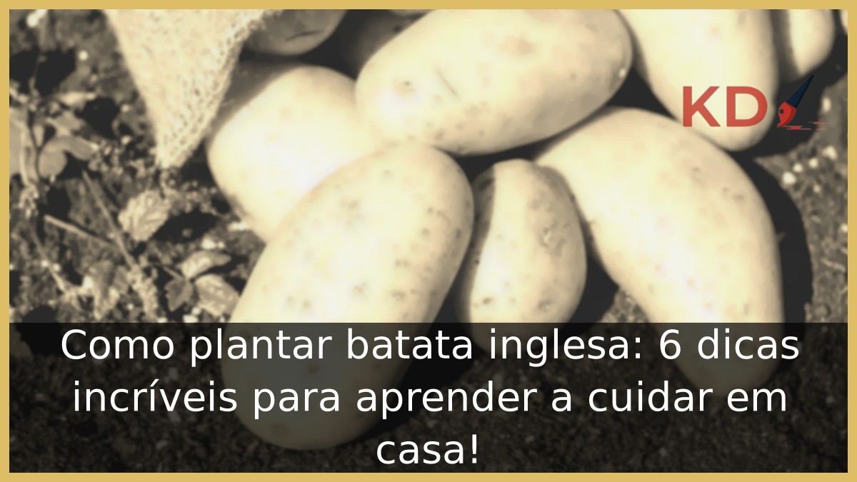 Como plantar batata inglesa