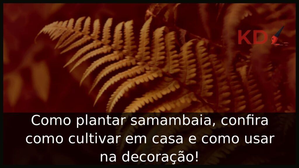 Como plantar samambaia, confira como cultivar em casa e como usar na decoração! 1 Como plantar samambaia