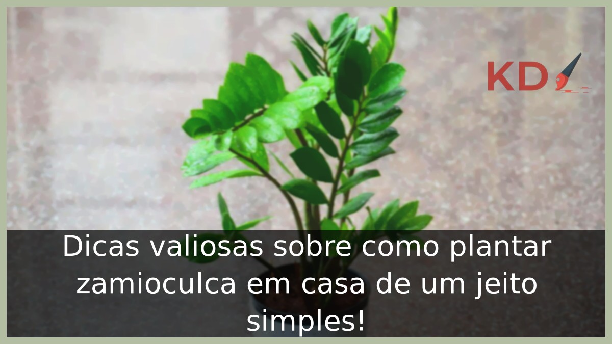 Como plantar zamioculca