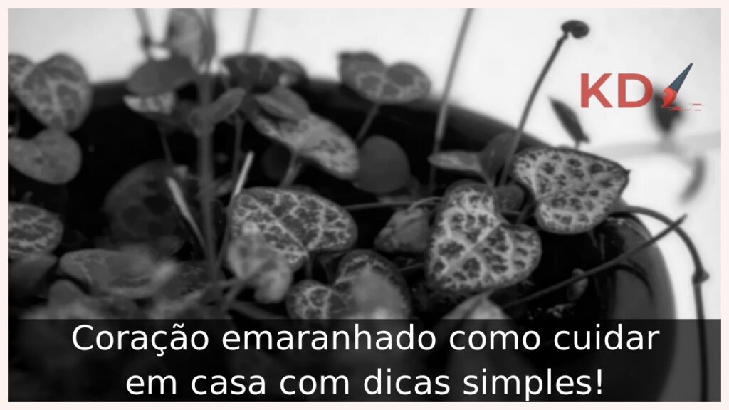 Coração emaranhado como cuidar em casa com dicas simples! 1 Coração emaranhado como cuidar